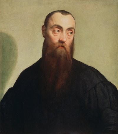 Portrait of a Bearded Man by Jacopo Bassano